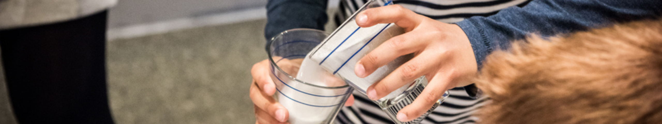 Bricolage main en carton