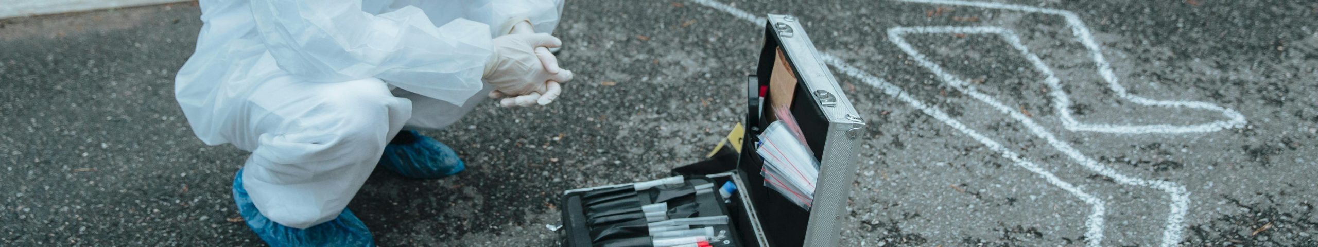 Les experts sur le terrain