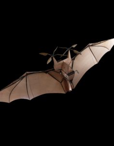 Quand les humains copient la nature: le biomimétisme.